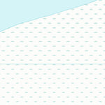 Cambridge Ward 1 (1:10,000) Preview 2