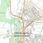 Powys - Powys 19 (1:10,000) Preview 3