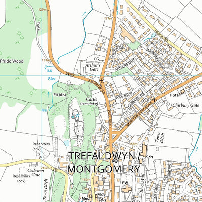 Powys - Powys 19 (1:10,000) Preview 3