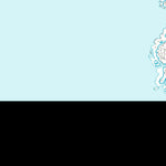 Gwynedd - Gwynedd 11 (1:10,000) Preview 2