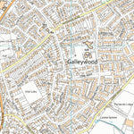 South Hanningfield, Stock and Margaretting Ward 1 (1:10,000) Preview 3