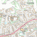 Ham, Petersham & Richmond Riverside Ward 1 (1:10,000) Preview 2