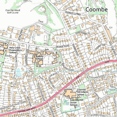 Ham, Petersham & Richmond Riverside Ward 1 (1:10,000) Preview 2