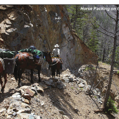 Shoshone NF (North Half) - Visitor Map - Clarks Fork, Wapiti & Greybull RDs (South Area) Preview 3
