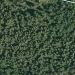 Carte bathymétrique du Lac Rond de la zec Mars-Moulin (2024) Preview 3