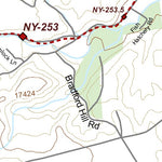 NY-042 Preview 3