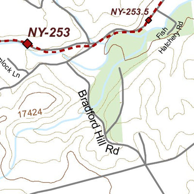 NY-042 Preview 3
