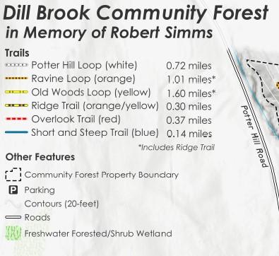 Dill Brook Community Forest Preview 2