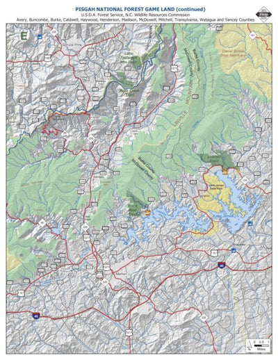 Pisgah Game Land E Preview 1