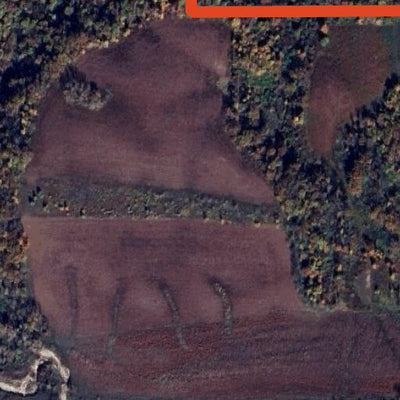 Seven Springs WMA Preview 2