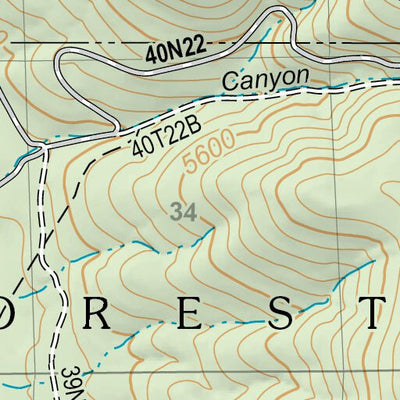 Ambrose Valley Preview 2