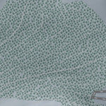 Wolf Creek Resort Preview 3