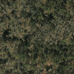 Camp Milton Historic Preserve Preview 3