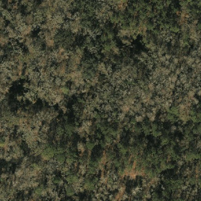 Camp Milton Historic Preserve Preview 3