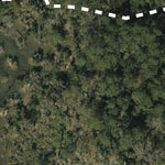 Dutton Island Preserve Preview 3