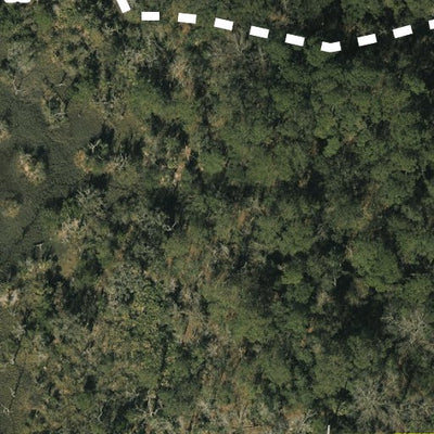 Dutton Island Preserve Preview 3