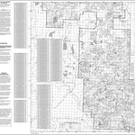 Chequamegon-Nicolet MVUM LakewoodLaona Preview 1