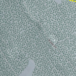 Kirkwood Resort Preview 3