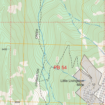 Livingston Creek, ID FSTopo Legacy Preview 3