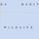 Middleton Island D-1, AK FSTopo Legacy Preview 2