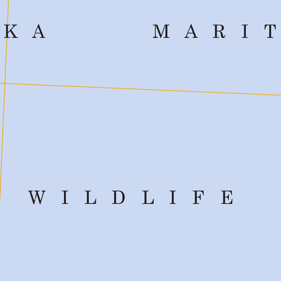 Middleton Island D-1, AK FSTopo Legacy Preview 2