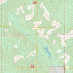 Milligan Mountain, NM FSTopo Legacy Preview 3
