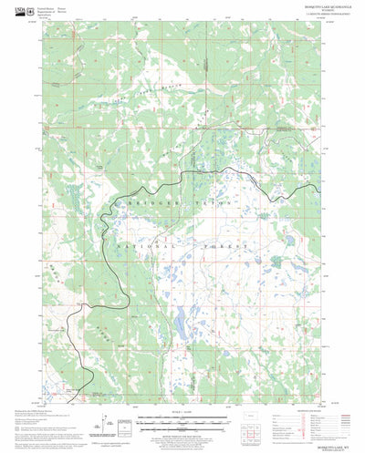 Mosquito Lake, WY FSTopo Legacy Preview 1