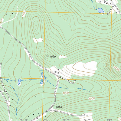 Mount Holly, VT FSTopo Legacy Preview 2