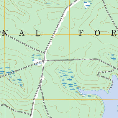 New Ellenton SE, SC FSTopo Legacy Preview 2