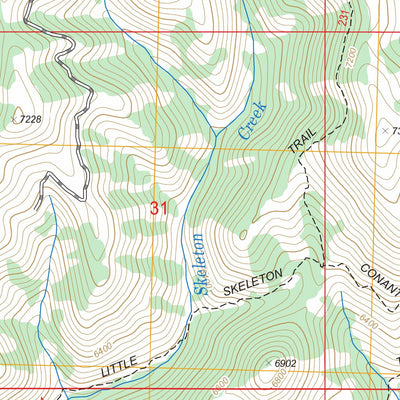 Newman Peak, ID FSTopo Legacy Preview 3