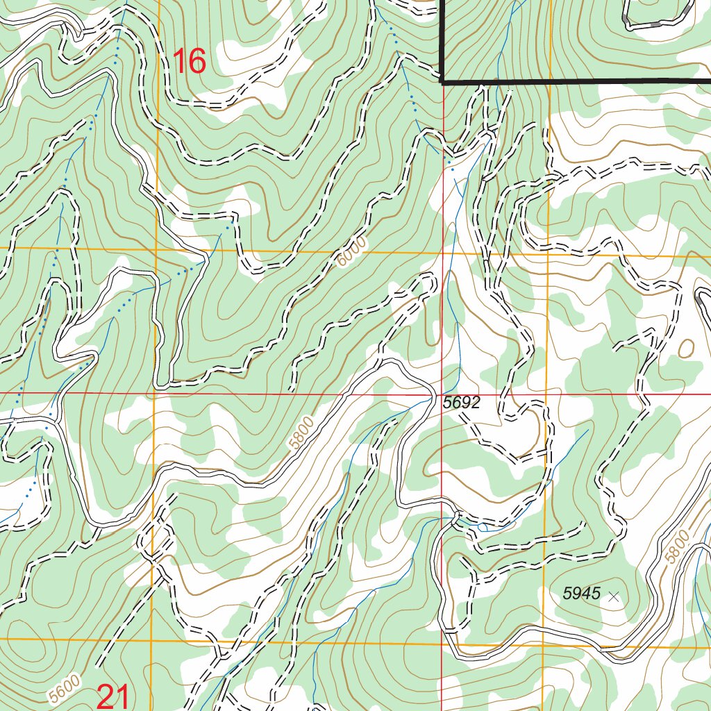 Paddy Flat, ID FSTopo Legacy Map by US Forest Service - Topo | Avenza Maps