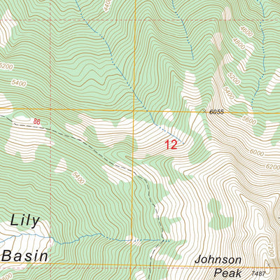 Packwood Lake, WA FSTopo Legacy Preview 3