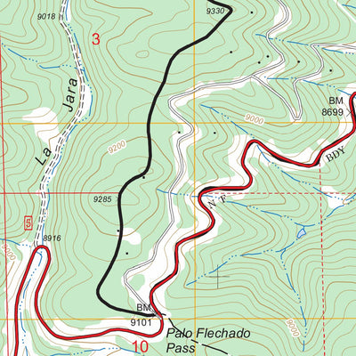 Palo Flechado Pass, NM FSTopo Legacy Preview 3