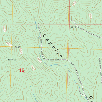 Paxton Springs, NM FSTopo Legacy Preview 3