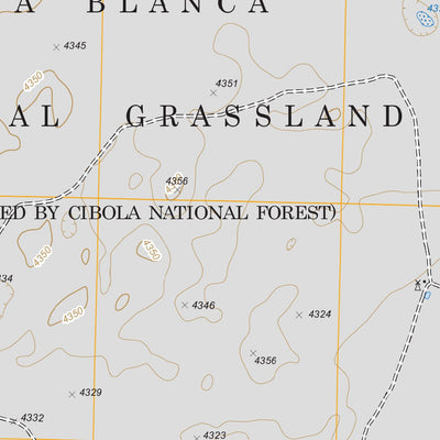 Perico, TX FSTopo Legacy Preview 3