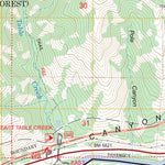 Pine Creek, WY FSTopo Legacy Preview 3