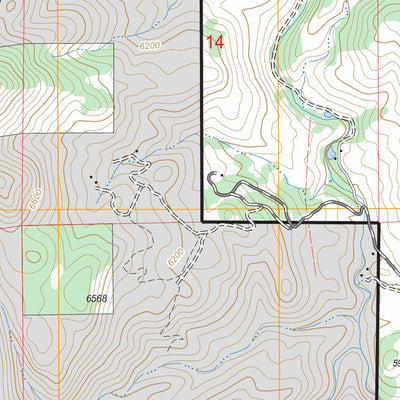 Pinewood Lake, CO FSTopo Legacy Preview 2