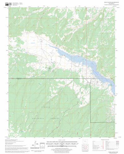 Pine Canyon, NM FSTopo Legacy Preview 1