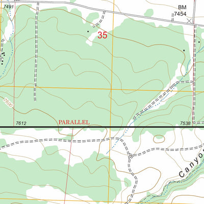 Pine Canyon, NM FSTopo Legacy Preview 2