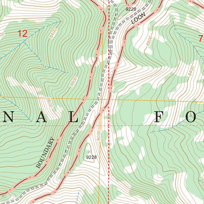 Pinyon Peak, ID FSTopo Legacy Preview 2