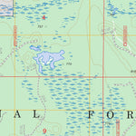 Poplar Lake, MI FSTopo Legacy Preview 2