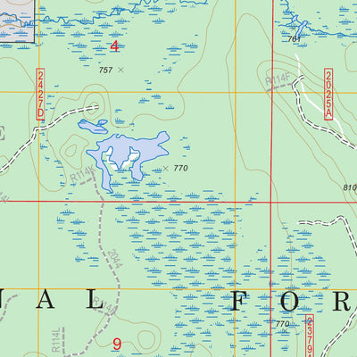 Poplar Lake, MI FSTopo Legacy Preview 2