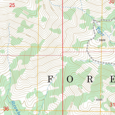 Prairie, ID FSTopo Legacy Preview 2