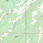 Pryor Creek, CO FSTopo Legacy Preview 3