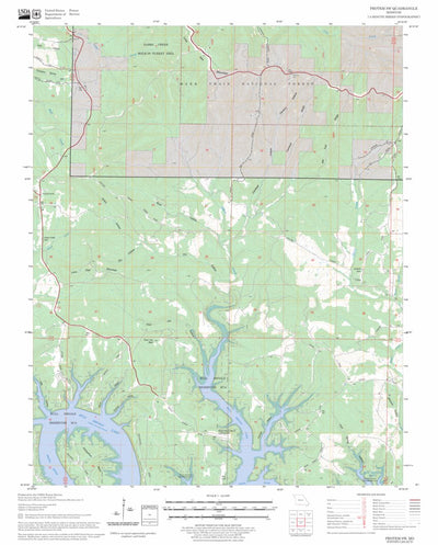 Protem SW, MO FSTopo Legacy Preview 1