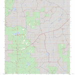 Puskus Lake, MS FSTopo Legacy Preview 1