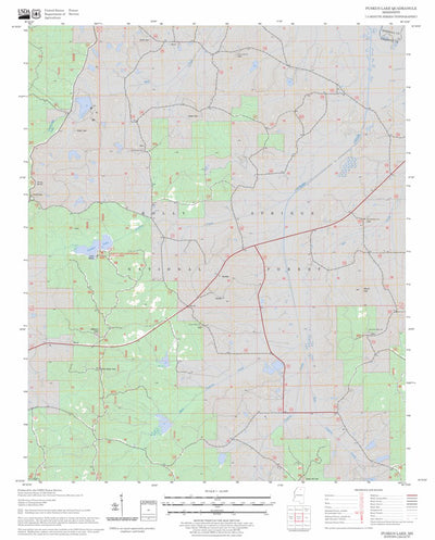 Puskus Lake, MS FSTopo Legacy Preview 1