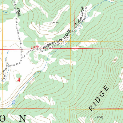 Raspberry Ridge, WY FSTopo Legacy Preview 3