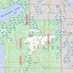 Remer, MN FSTopo Legacy Preview 3