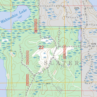 Remer, MN FSTopo Legacy Preview 3